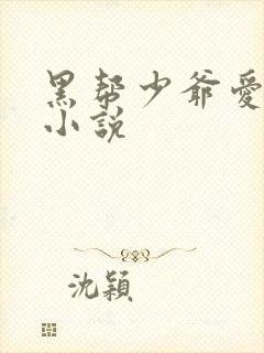 黑帮少爷爱上我小说