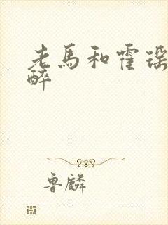 老马和霍瑶瑶喝醉