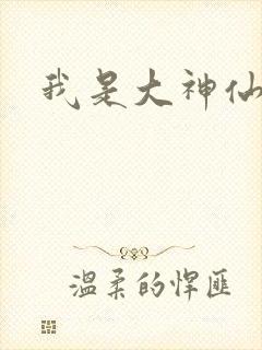我是大神仙小说