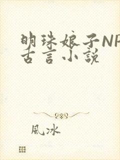 明珠娘子NPC古言小说