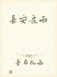 长安夜雨