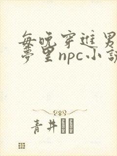 每晚穿进男神的梦里npc小说