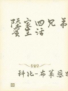 陆家四兄弟的甜蜜生活