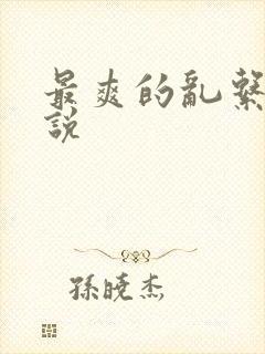 最爽的乱系列小说