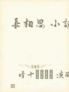 长相思 小说