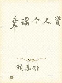 童瑶个人资料简介