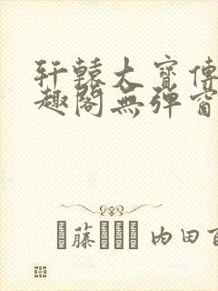 轩辕大宝传奇笔趣阁无弹窗