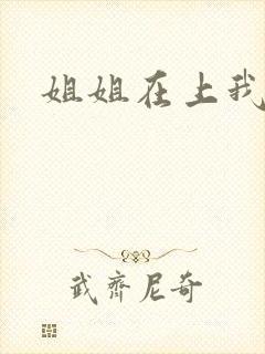 姐姐在上我在下