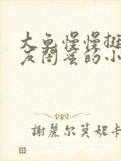 大龟慢慢挺进女友闺蜜的小说