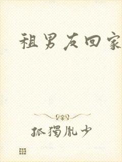 租男友回家过年