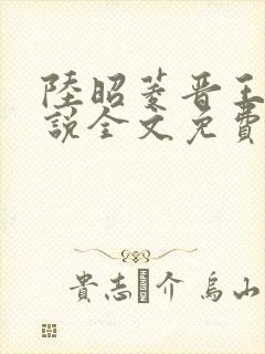 陆昭菱晋王的小说全文免费阅读