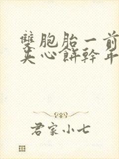 双胞胎一前一后夹心饼干年下