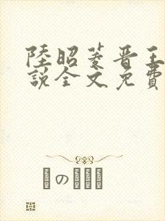 陆昭菱晋王的小说全文免费阅读