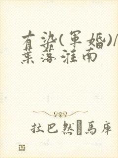 有染(军婚)/叶落淮南