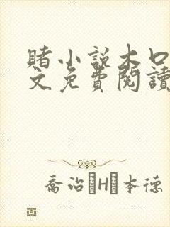 赌小说木口银全文免费阅读笔趣阁