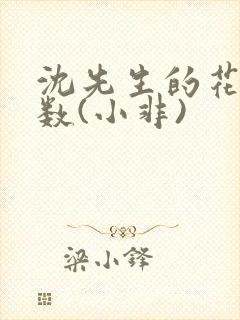 沈先生的花式调数(小非)