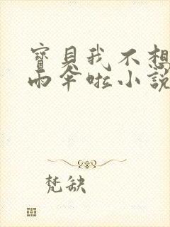 宝贝我不想带小雨伞啦小说