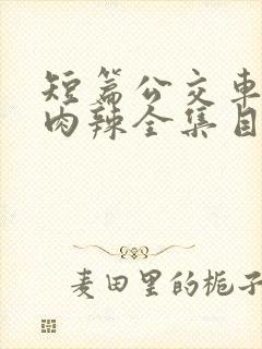 短篇公交车高h肉辣全集目录