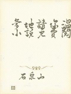 爹地请你温柔点小说免费阅读