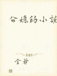 公媳的小说