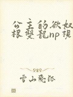 公主的欲奴h四根双龙np视频