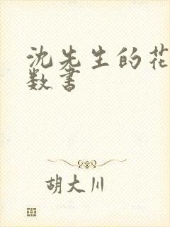 沈先生的花式调数书