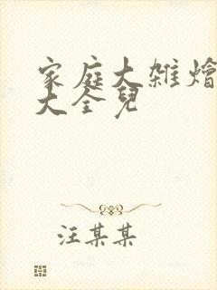 家庭大杂烩小说大全儿