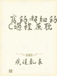 写的超细的多肉C过程原耽