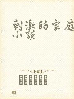 刺激的家庭乱仑小说