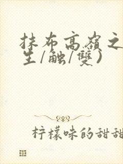 抹布高岭之花(生/触/双)