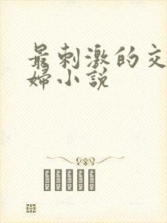 最刺激的交换夫妇小说