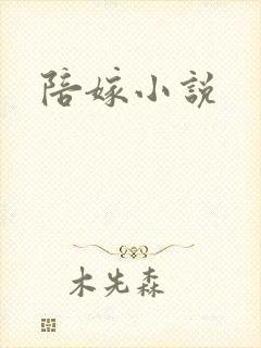 陪嫁小说