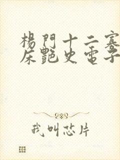 杨门十二寡妇肉床艳史电子书