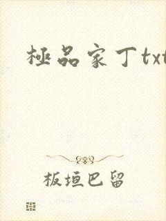 极品家丁txt