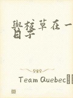 与校草在一起的日子