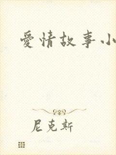 爱情故事小说