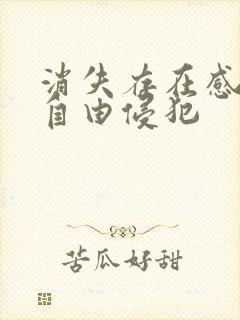 消失存在感消失自由侵犯