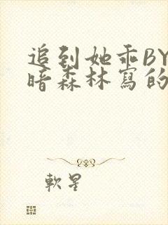 追到她乖BY黑暗森林写的小说