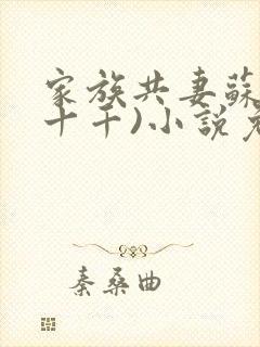 家族共妻苏苏(十千)小说免费