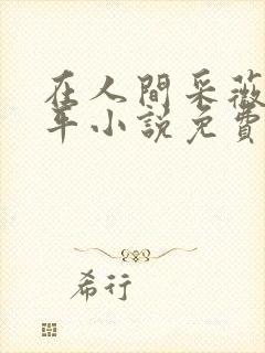 在人间采薇陆三平小说免费阅读