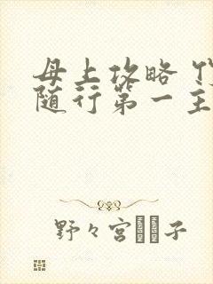 母上攻略 竹影随行第一主板