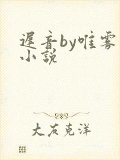 迟音by唯雾的小说