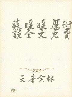 苏暖暖厉衍琛小说全文免费阅读