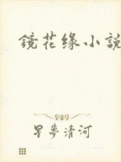 镜花缘小说