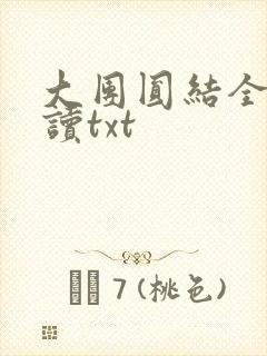 大团圆结全文阅读txt
