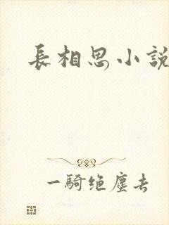 长相思小说原著