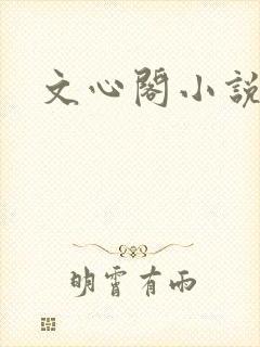 文心阁小说