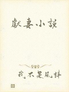 献妻小说