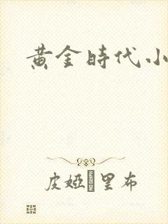 黄金时代小说
