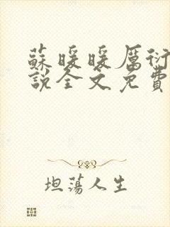 苏暖暖厉衍琛小说全文免费阅读